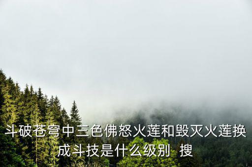 斗破苍穹中三色佛怒火莲和毁灭火莲换成斗技是什么级别  搜