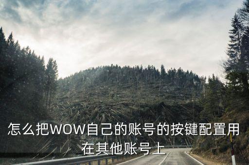 怎么把WOW自己的账号的按键配置用在其他账号上