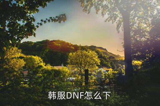 韩服DNF怎么下