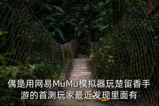 偶是用网易MuMu模拟器玩楚留香手游的首测玩家最近发现里面有