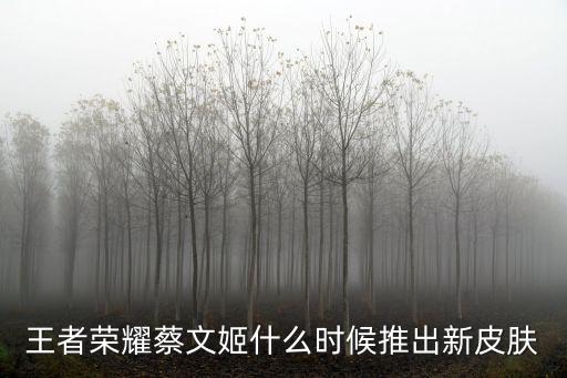 王者荣耀蔡文姬什么时候推出新皮肤