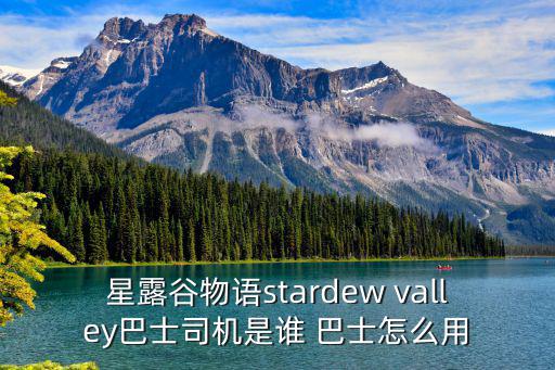 星露谷物语stardew valley巴士司机是谁 巴士怎么用