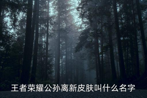 王者荣耀公孙离新皮肤叫什么名字