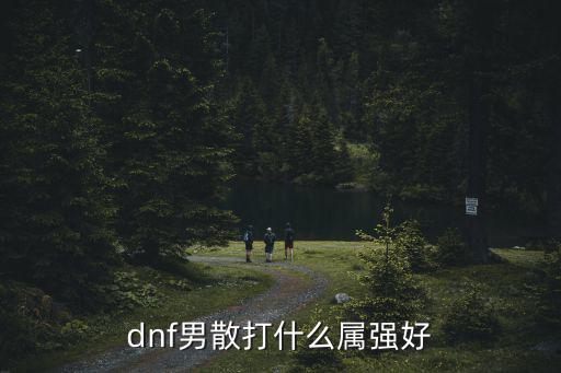 dnf男散打什么属强好