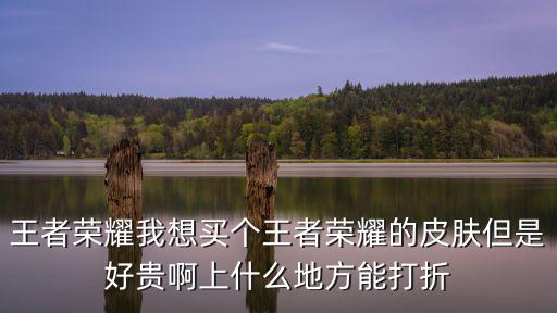 王者荣耀我想买个王者荣耀的皮肤但是好贵啊上什么地方能打折