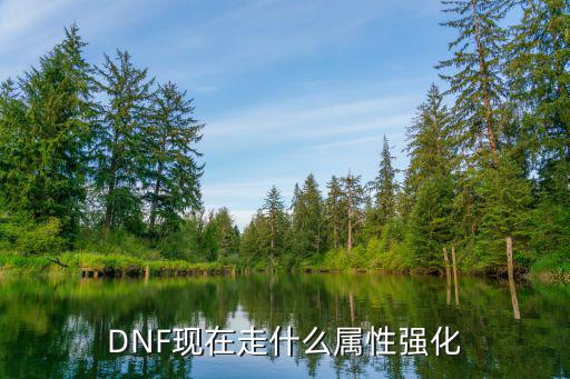 DNF现在走什么属性强化