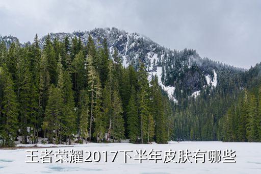 王者荣耀2017下半年皮肤有哪些