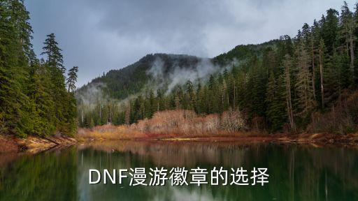 DNF漫游徽章的选择