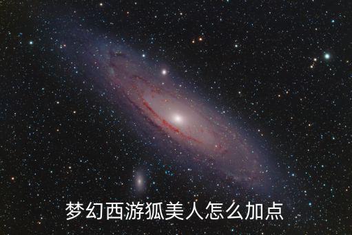 梦幻西游狐美人怎么加点