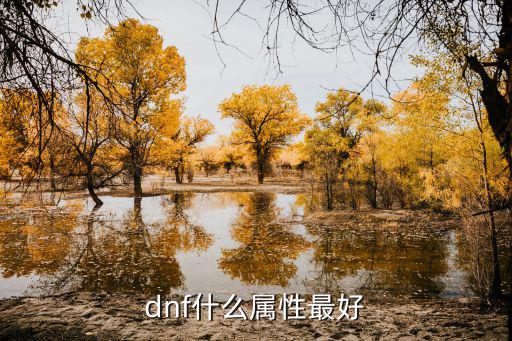 dnf什么属性最好