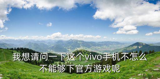 我想请问一下这个vivo手机不怎么不能够下官方游戏呢