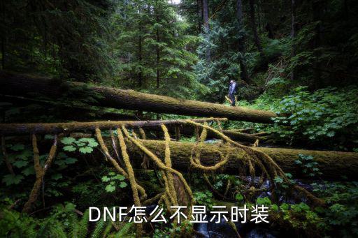 DNF怎么不显示时装