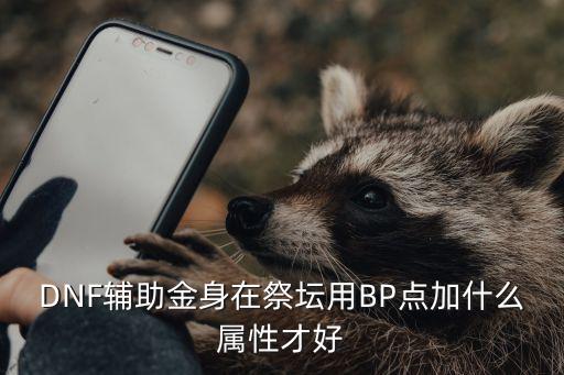 DNF辅助金身在祭坛用BP点加什么属性才好