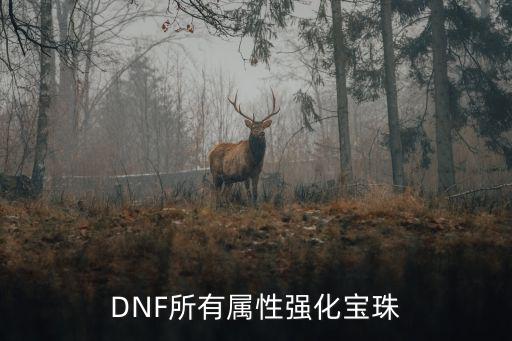 DNF所有属性强化宝珠