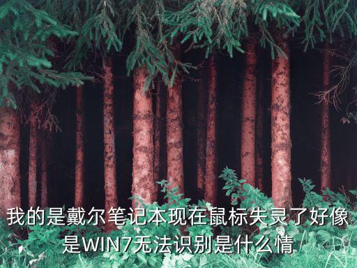 我的是戴尔笔记本现在鼠标失灵了好像是WIN7无法识别是什么情