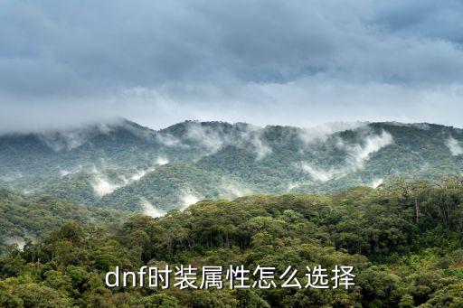 dnf貂蝉时装属性选什么，dnf时装属性怎么选