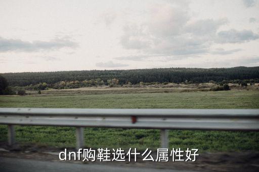 dnf购鞋选什么属性好