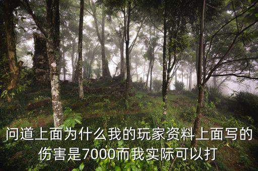 问道上面为什么我的玩家资料上面写的伤害是7000而我实际可以打