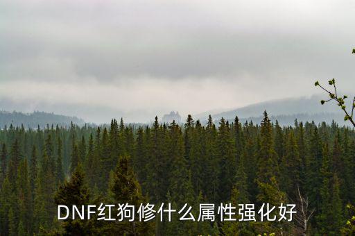 dnf红狗什么属性强，DNF红狗修什么属性强化好