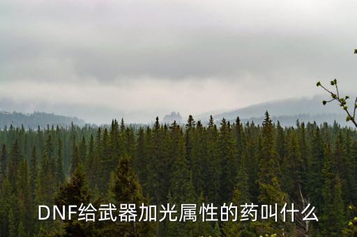 DNF给武器加光属性的药叫什么