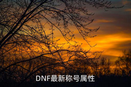 DNF最新称号属性