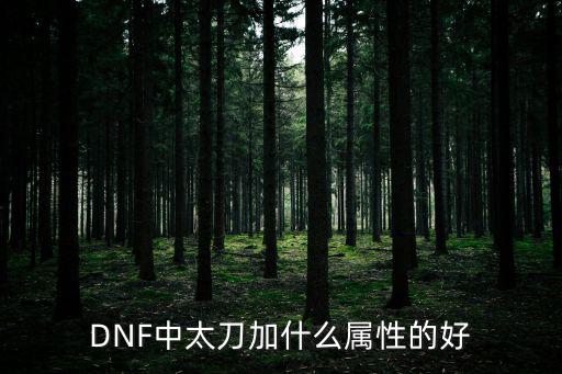 DNF中太刀加什么属性的好