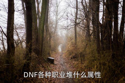 DNF各种职业堆什么属性