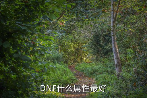 dnf遴选最佳属性是什么，DNF 什么属性最好