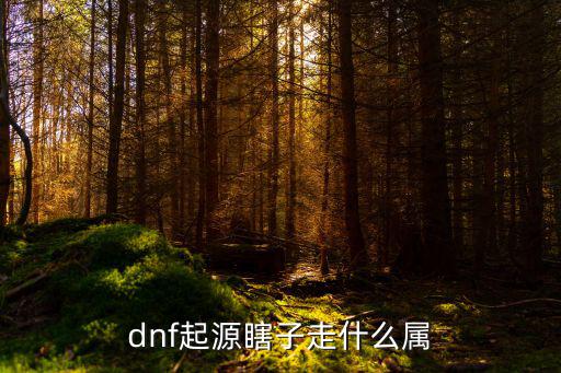 dnf起源瞎子走什么属