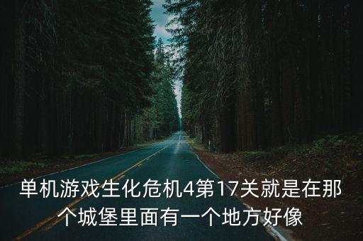 单机游戏生化危机4第17关就是在那个城堡里面有一个地方好像