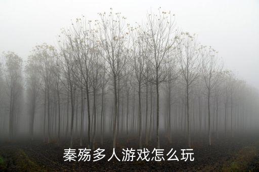 秦殇多人游戏怎么玩