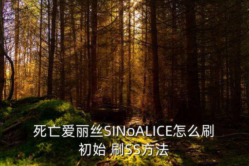 死亡爱丽丝SINoALICE怎么刷初始 刷SS方法