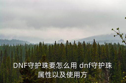 DNF守护珠要怎么用 dnf守护珠属性以及使用方