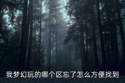 梦幻手游怎么看在哪个区，好久没玩梦幻了忘了在哪个区了怎么能查到啊