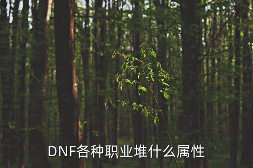 DNF各种职业堆什么属性