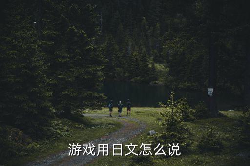 游戏用日文怎么说