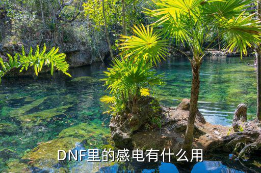 DNF里的感电有什么用