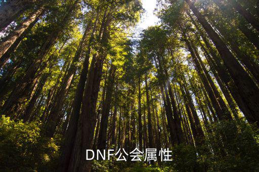 DNF公会属性