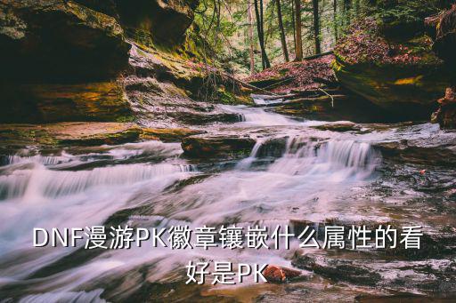 DNF漫游PK徽章镶嵌什么属性的看好是PK