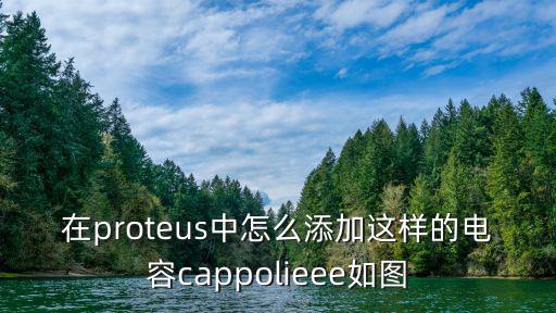 在proteus中怎么添加这样的电容cappolieee如图