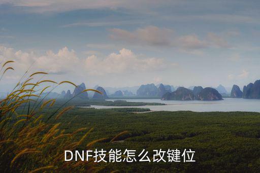 dnf手游怎么调技能位置，DNF技能怎么改键位