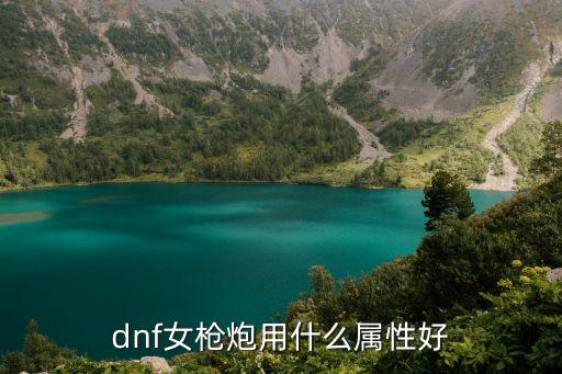 dnf女枪什么属性好，dnf女大枪走什么属性比较好