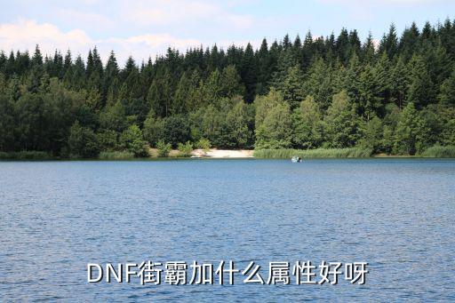 DNF街霸加什么属性好呀