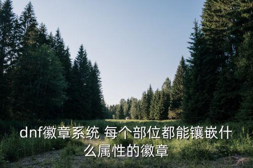 dnf传说勋章加什么属性，DNF装备上能镶嵌什么属性的徽章