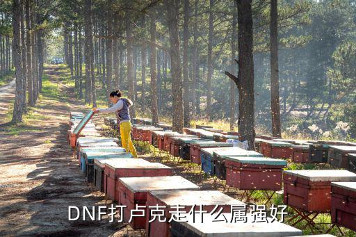 DNF打卢克走什么属强好