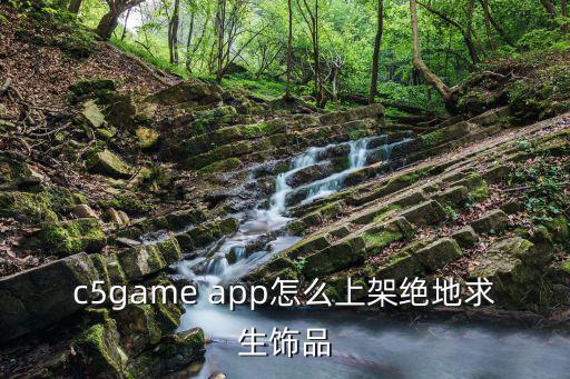 c5game app怎么上架绝地求生饰品