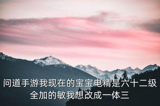 问道手游我现在的宝宝电精是六十二级全加的敏我想改成一体三