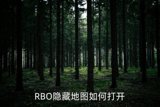 RBO隐藏地图如何打开