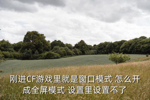 刚进CF游戏里就是窗口模式 怎么开成全屏模式 设置里设置不了