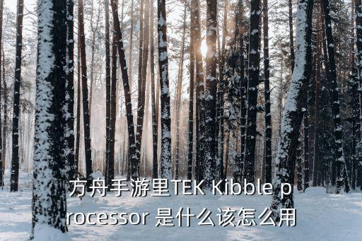 方舟手游里TEK Kibble processor 是什么该怎么用